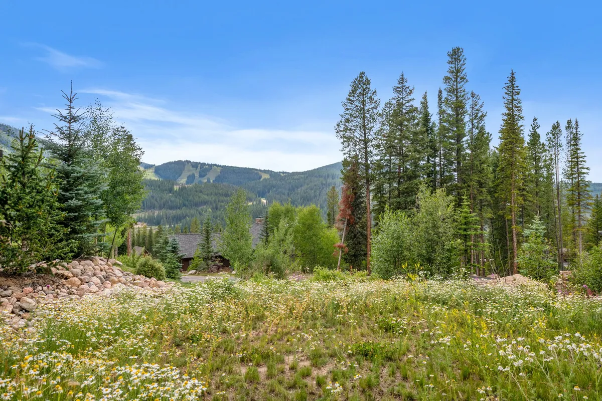 A picturesque exterior scene of wildflowers blooming in a mountain meadow, with a dramatic mountain backdrop and tall trees. The setting evokes the tranquility and beauty of spring, summer, or fall, inviting thoughts of hiking, wildlife watching, and nature exploration.